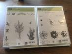 Stampin up stempels,splinternieuwe, Ophalen of Verzenden, Nieuw