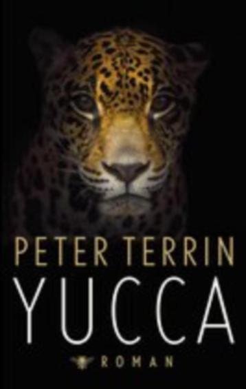 Peter Terrin: Yucca beschikbaar voor biedingen