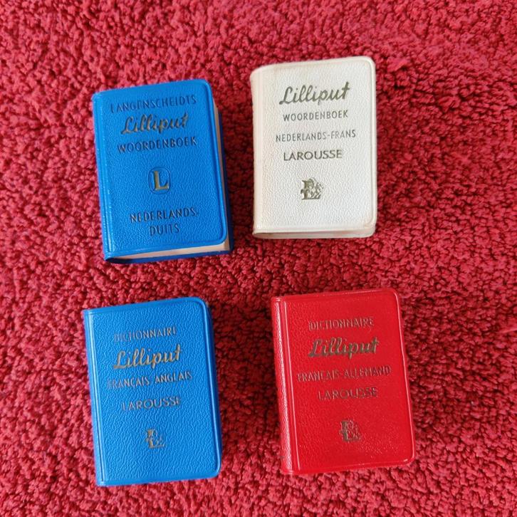 Woordenboeken Lilliput, Boeken, Woordenboeken, Gelezen, Overige uitgevers, Ophalen