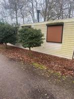 Chalet gratis ophalen, Caravans en Kamperen, Tot en met 4