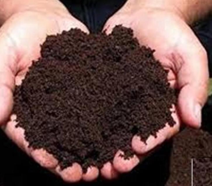 Premium worm vermicompost, Tuin en Terras, Kweekspullen, Nieuw, Kweeklamp, Ophalen of Verzenden