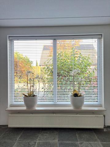 Witte Houten Jaloezie 50mm - 235x180cm - Zo Goed Als Nieuw! beschikbaar voor biedingen