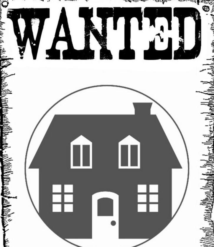 Gezocht: woonruimte voor drie studenten in Delft, Huizen en Kamers, Op zoek naar een kamer