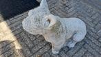 Franse Buldog ., Ophalen, Zo goed als nieuw
