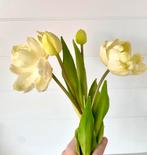 Bosje Kunst tulpen wit, Huis en Inrichting, Woonaccessoires | Kunstplanten en Kunstbloemen, Ophalen of Verzenden