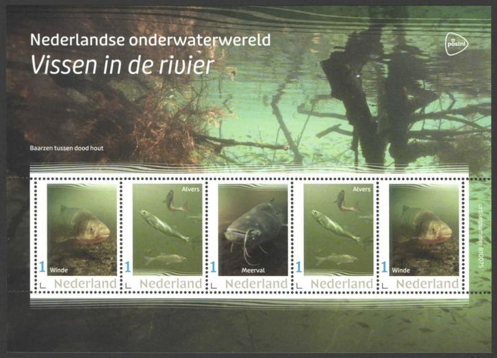 Nederlandse Onderwaterwereld: Vissen in de rivier, Postzegels en Munten, Postzegels | Nederland, Postfris, Na 1940, Ophalen of Verzenden
