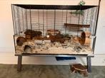 Hamsterverblijf glas hamsterscaping, Kooi, Hamster, 75 tot 110 cm, Ophalen