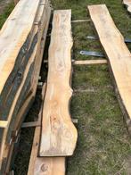 Mooie gedroogde BEUKEN schaaldelen, Ophalen, Zo goed als nieuw, Plank, Beuken