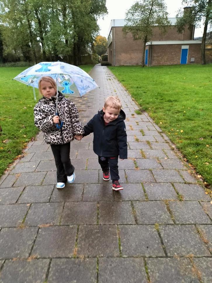 Gezocht een lief klein 🐕 🐶, Dieren en Toebehoren, Honden-accessoires, Ophalen of Verzenden