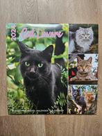 Nieuw: Kalender 2024 - Katten, Diversen, Nieuw, Ophalen of Verzenden, Jaarkalender