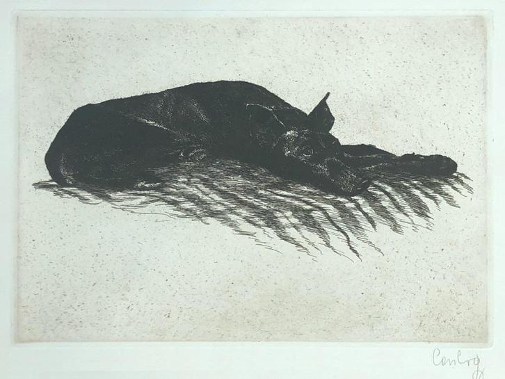 Mooie en betaalbare kunst v/h Grafiekkabinet, Antiek en Kunst, Kunst | Etsen en Gravures, Ophalen of Verzenden