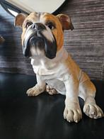 Realistisch beeld Engelse bulldog, Ophalen, Zo goed als nieuw, Dier