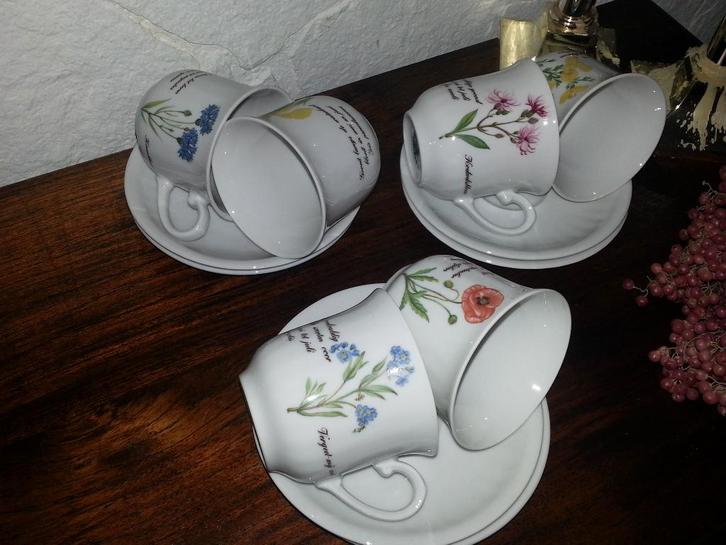 6 Kop en schotels exclusief gemaakt voor Libelle seventies, Verzamelen, Retro, Huis en Inrichting, Ophalen of Verzenden