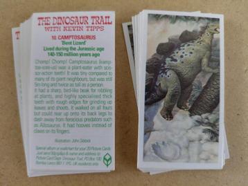 The Dinosaur Trail complete set 20 tea cards 1993 BB111PG beschikbaar voor biedingen