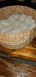 Beeztees kattenmand nieuw., Ophalen