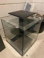 Aquarium Qubiq 60 pro Superfish, Dieren en Toebehoren, Vissen | Aquaria en Toebehoren, Ophalen, Gebruikt, Leeg aquarium