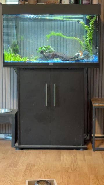 Aquarium met vissen beschikbaar voor biedingen