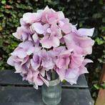 Zijden Hortensia's Kunstbloemen Sober Landelijk, Ophalen of Verzenden, Nieuw, Binnen