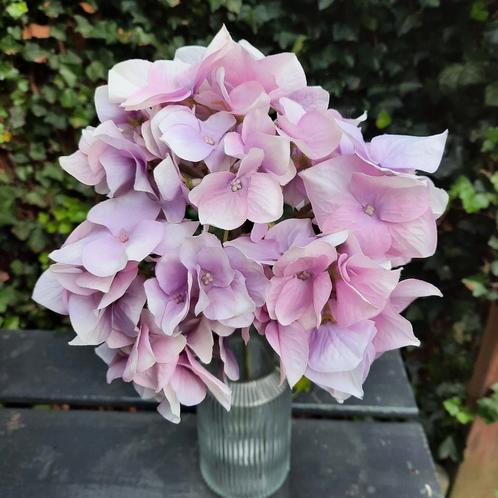 Hoogwaardige Zijden Hortensia's Kunstbloemen Sober Landelijk, Huis en Inrichting, Woonaccessoires | Kunstplanten en Kunstbloemen