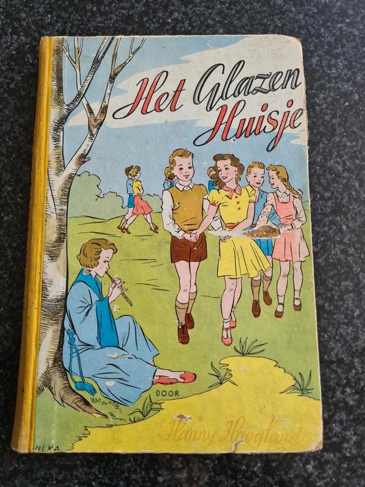 Het Glazen Huisje door Hanny Hoogland, Boeken, Kinderboeken | Jeugd | 13 jaar en ouder, Gelezen, Ophalen of Verzenden