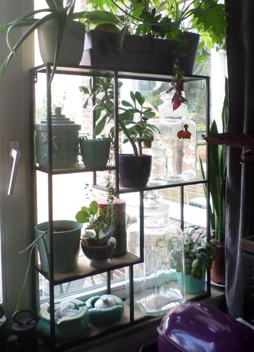 2 wandrekken / vakkenkasten ook leuk voor planten 79x60x15, Huis en Inrichting, Woonaccessoires | Wandplanken en Boekenplanken