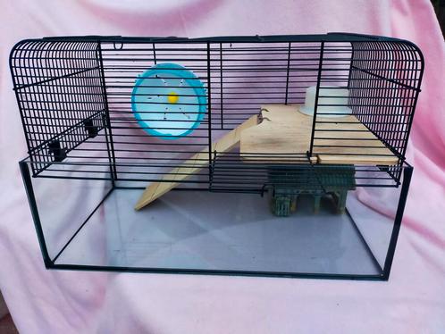 Dwerg hamster ,muizen kooi., Dieren en Toebehoren, Knaagdieren en Konijnen | Hokken en Kooien, Zo goed als nieuw, Kooi, Minder dan 60 cm