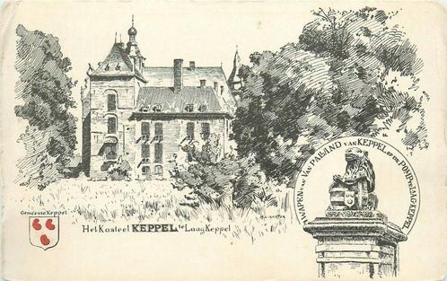 (388-041-005) Laag-Keppel Het Kasteel Kappel, Verzamelen, Ansichtkaarten | Nederland, Gelderland, Ophalen of Verzenden