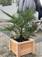 bloembak, Nieuw, Ophalen of Verzenden, 60 tot 100 cm, 60 cm of meer
