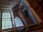 Knaagdier kooi, Dieren en Toebehoren, Kooi, Zo goed als nieuw, 75 tot 110 cm, Ophalen