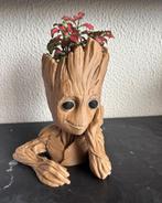 Groot Plantenpot - Handgemaakt & Uniek!, Huis en Inrichting, Kamerplanten, Overige soorten, In pot, Minder dan 100 cm, Groene kamerplant