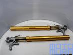 Öhlins Voorvork FKR cartridges Ducati Panigale 1199R 2012 -, Motoren, Onderdelen | Ducati, Gebruikt, -, -, Ophalen of Verzenden