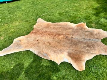 Vloerkleed groot - 240x180cm - Koe beschikbaar voor biedingen