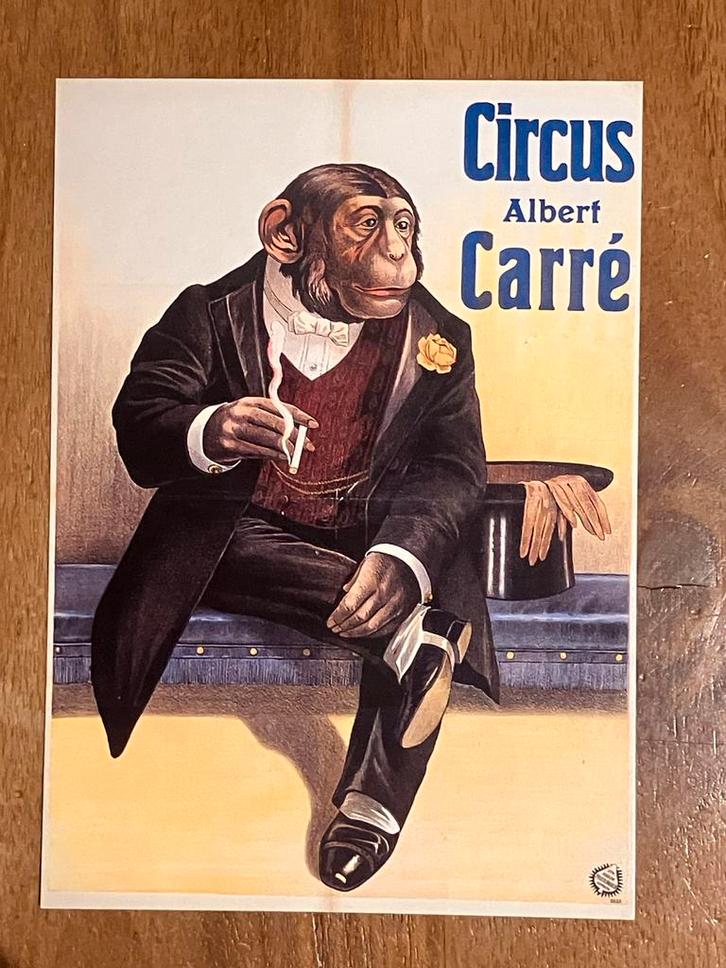 Circus Albert Carré - aap met sigaret, Verzamelen, Ansichtkaarten | Themakaarten, Ongelopen, 1980 tot heden, Ophalen of Verzenden