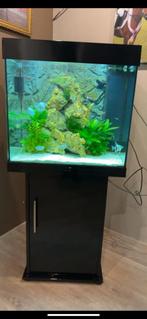 Juwel aquarium 120 liter, Dieren en Toebehoren, Vissen | Aquaria en Toebehoren, Ophalen of Verzenden, Zo goed als nieuw
