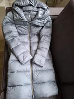 Save the Duck maat XS, Kleding | Dames, Ophalen of Verzenden, Nieuw, Maat 34 (XS) of kleiner, Groen
