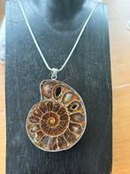 Ammoniet hanger met verzilverde ketting, Verzenden, Nieuw, Bruin, Steen of Mineraal
