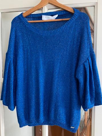 Blauwe Lurex Glitter Trui beschikbaar voor biedingen
