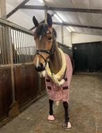 Verzorgster gezocht, Dieren en Toebehoren, Ophalen of Verzenden, Zo goed als nieuw