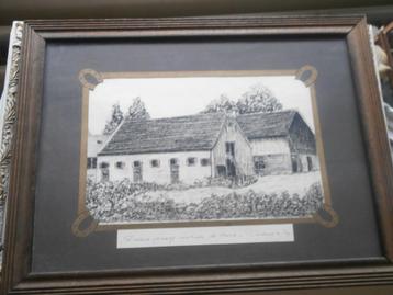 Dierenopvang, Rotterdam, Noord, v Vogelenzang beschikbaar voor biedingen