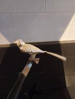 Antieke glazen kerstbal vogel op klem, Diversen, Kerst, Ophalen