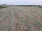 Paarden hooi, Ophalen, Vee