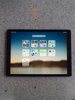 Apple iPad Pro 12 inch - Groot scherm - 64GB - Grijs - Wi-Fi, Computers en Software, Apple iPads, Gebruikt, Apple iPad, 12 inch