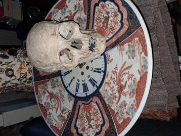 schedel  antiek doodskop skelet beschikbaar voor biedingen