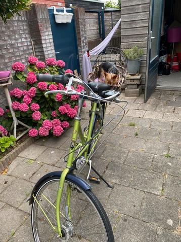 Gazelle fiets beschikbaar voor biedingen