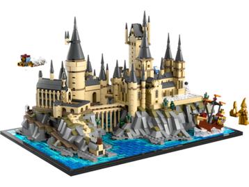 LEGO Hogwarts Castle and Grounds 76419 beschikbaar voor biedingen