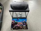 TETRA Aquarium Starter Line 41x30x25cm = 30L, Dieren en Toebehoren, Vissen | Aquaria en Toebehoren, Ophalen, Gebruikt, Leeg aquarium
