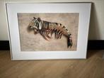 tiger shrimp potloodtekening, Ophalen, Zo goed als nieuw, Minder dan 50 cm, 50 tot 75 cm