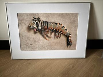 tiger shrimp potloodtekening beschikbaar voor biedingen