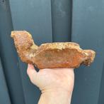 Heiligbeen Mammoet fossiel, Ophalen of Verzenden, Fossiel