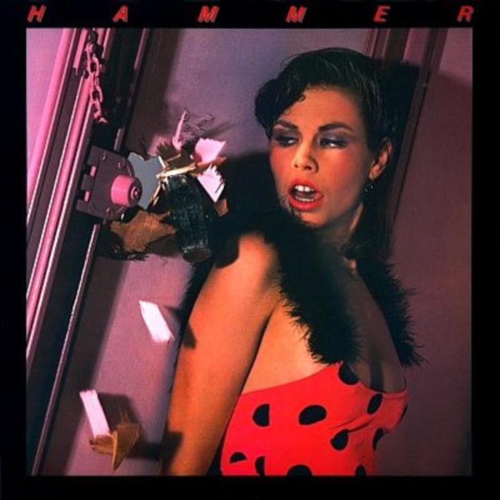 2 LP's ( Jan ) Hammer, Cd's en Dvd's, Vinyl | Rock, Zo goed als nieuw, Poprock, 12 inch, Verzenden